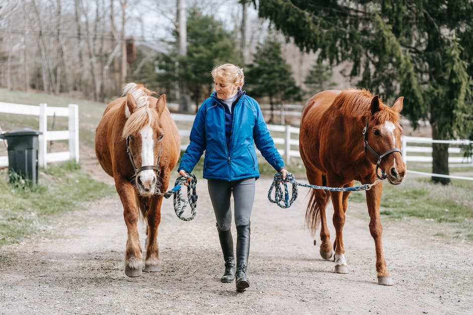  Warum Frauen Pferde lieben