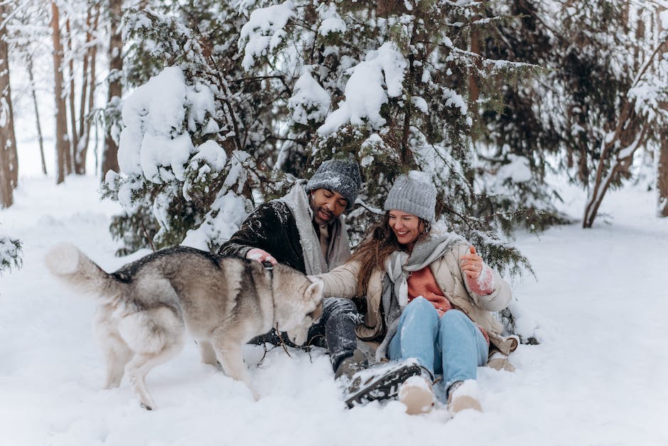 warum Hunde Schnee lieben