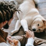 Menschen lieben Hunde aufgrund ihrer Freundlichkeit und Treue